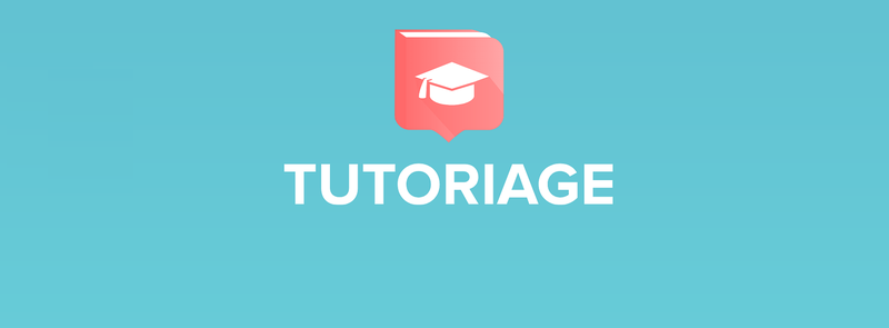 Illustration for article titled Custom Tutoriage essays